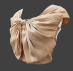 Soomin Shimmery Beige Crop Top With Oversized Bow