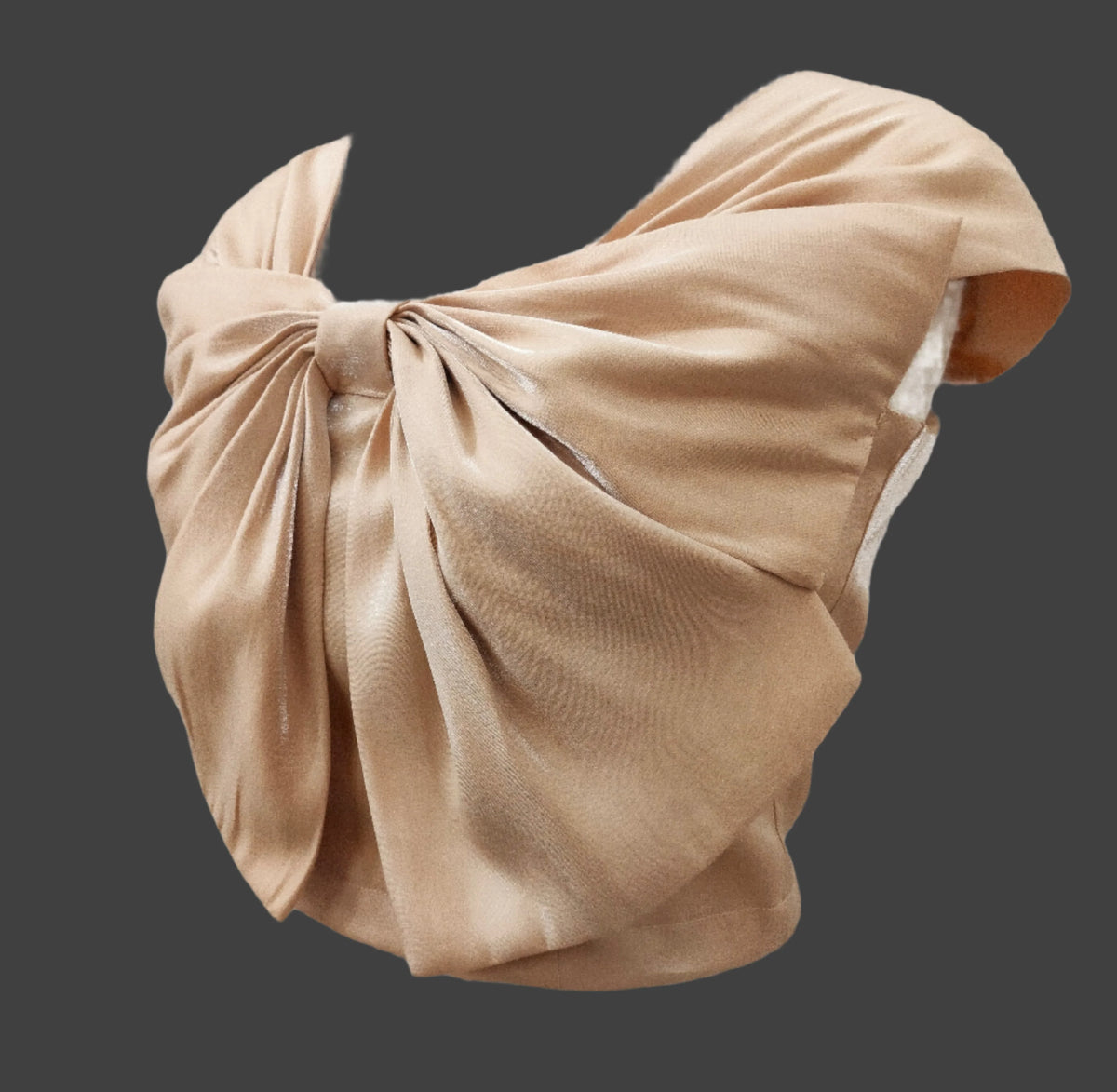 Soomin Shimmery Beige Crop Top With Oversized Bow