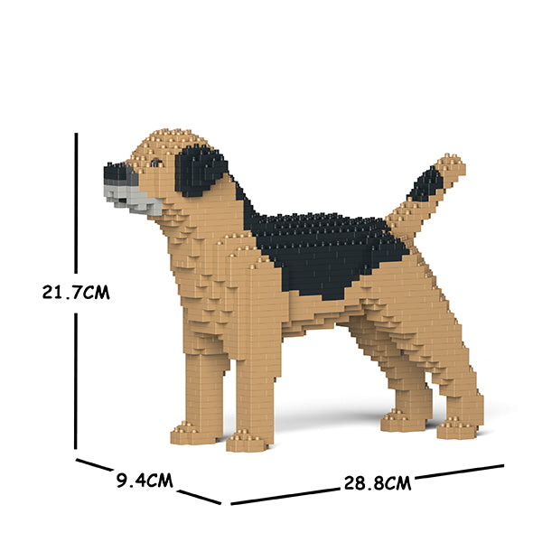 Border Terrier 01S-M01 / 01C-M01