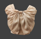 Soomin Shimmery Beige Crop Top With Oversized Bow